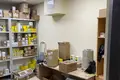 Propiedad comercial 58 m² en Zdanovicy, Belarús