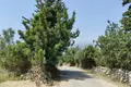 Parcelas  Litsarda, Grecia