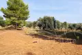 Земельные участки 58 000 м² Никити, Греция