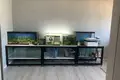 Квартира 3 комнаты 62 м² Мачулищи, Беларусь