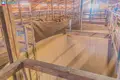 Коммерческое помещение 1 118 м² Барздай, Литва