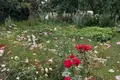 Дом 120 м² Петришковский сельский Совет, Беларусь