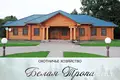 Established business 577 m² in Kurylavicki sielski Saviet, Belarus