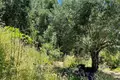 Земельные участки 1 комната  Мораиитика, Греция