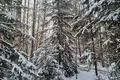 Land 8 700 m² Dubuli, Latvia