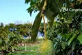 Wohnung 29 520 m² Buenavista del Norte, Spanien
