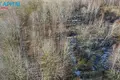 Atterrir  Stebuliai, Lituanie
