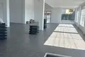 Gewerbefläche 730 m² in Limassol District, Zypern