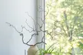 Appartement 2 chambres 30 m² Vilnius, Lituanie