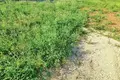 Działki 750 m² Krk, Chorwacja