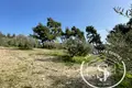 Producción 3 740 m² en Paliouri, Grecia