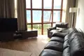 Wohnung 1 Schlafzimmer 95 m² Topla, Montenegro