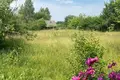 Grundstück 101 m² Stankauski sielski Saviet, Weißrussland