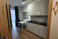 Wohnung 1 Zimmer 24 m² in Krakau, Polen