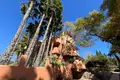 3 bedroom apartment 120 m² Orihuela, Spain