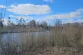 Dom 5 pokojów 208 m² Limbazu pagasts, Łotwa