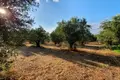 Land 8 381 m² Peloponnese Region, Greece
