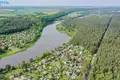 Grundstück  Bazilioniai, Litauen