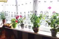 Apartamento 2 habitaciones 48 m² Minsk, Belarús