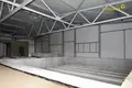Office 1 381 m² in Lahojsk selsaviet, Belarus