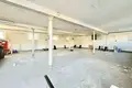 Appartement 220 m² en Chyby, Pologne