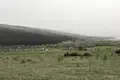 Land  Ambrolauri Municipality, Georgia