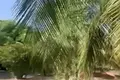 Parcelas  Regiao Geografica Imediata de Salvador, Brasil