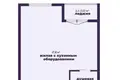 Wohnung 1 zimmer 45 m² Minsk, Belarus