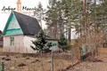 Haus 31 m² Naracanski sielski Saviet, Weißrussland