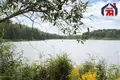 House 60 m² Ozyaritska-Slabadski rural council, Belarus