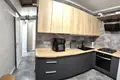 Wohnung 2 zimmer 49 m² Minsk, Weißrussland