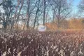 Land  Bagrationovsky District, Russia