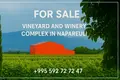 Now available for sale! A new wine factory complex in Kakheti, Telavi Municipality, in the village of Napareuli