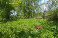 Land  Bialarucki sielski Saviet, Belarus
