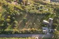 Land 4 018 m² Radzewice, Poland