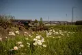 Земельные участки  Vikuli, Латвия
