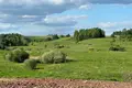 Haus  Ciacierkauski siel ski Saviet, Weißrussland