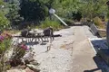2 bedroom house  Greece, Greece