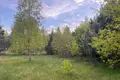 Grundstück 18 973 m² Przylek, Polen