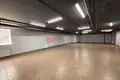 Warehouse 161 m² in Minsk, Belarus