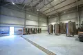 Now available for sale! A new wine factory complex in Kakheti, Telavi Municipality, in the village of Napareuli