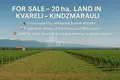 Land  Kvareli, Georgia