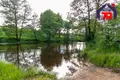 Дом 35 м² Нарочанский сельский Совет, Беларусь