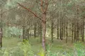 Земельные участки  Гожский сельский Совет, Беларусь