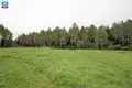 Land  Gulbiniskiai, Lithuania