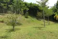villa de 5 chambres 720 m² Rawai, Thaïlande