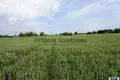 Commercial property 10 000 m² in Urhida, Hungary