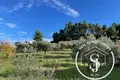 Producción 4 779 m² en Pefkochori, Grecia