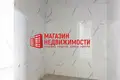 Producción 251 m² en Grodno, Bielorrusia