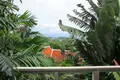 Villa 2 Schlafzimmer 234 m² Phuket, Thailand